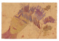Monotype